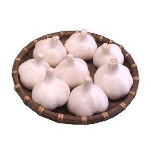 (10Est)ɂɂ(nzCg)y1660834z