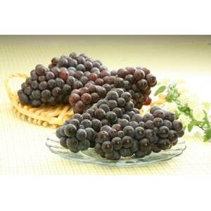 XY@X`[x()2kgy1668501z