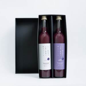 PURE  ZERO YX`[xW[XqXg[gA[OCMIXre1{y1691211z