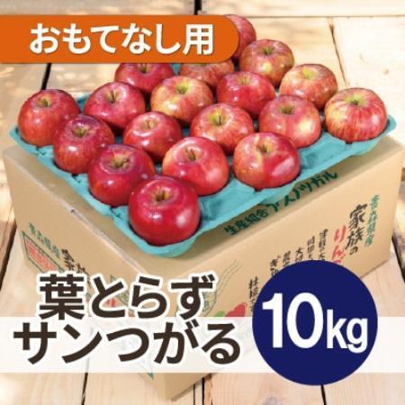 [26年9月から順次発送]平均糖度12度以上! 葉とらずサンつがる 約10kg おもてなし用 りんご[配送不可地域:離島・沖縄県]