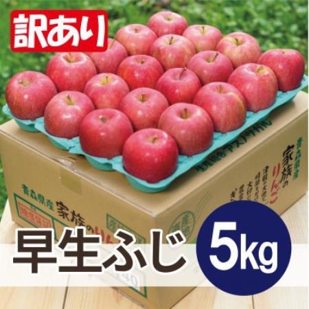 [26年10月から順次発送]平均糖度12度以上! 早生ふじ 約5kg 訳あり 青森県産 りんご[配送不可地域:離島・沖縄県]