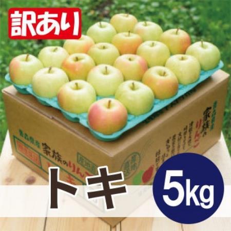 [26年10月から順次発送]平均糖度12度以上! トキ 約5kg 訳あり 青森県産 りんご[配送不可地域:離島・沖縄県]