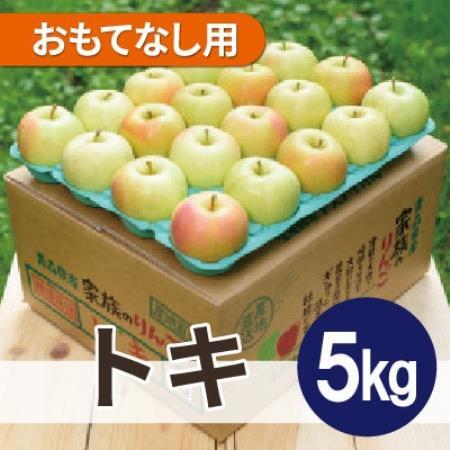 [26年10月から順次発送]平均糖度12度以上! トキ 約5kg おもてなし用 青森県産 りんご[配送不可地域:離島・沖縄県]