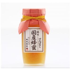 藤原 国産蜂蜜「けんぽなし」 550g_調味料 はちみつ ハチミツ 蜂蜜_