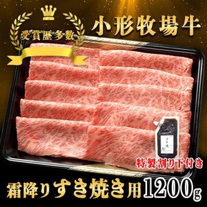y `qꋍzĂ(~) 1200g 艺3tyzsnFEꌧzy1629338z