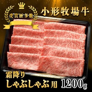 y `qꋍzԂ(~) 1200gyzsnFEꌧzy1629347z