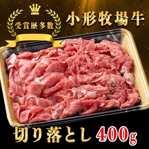 y `qꋍz؂藎Ƃ 400gyzsnFEꌧzy1629354z