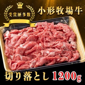 y `qꋍz؂藎Ƃ 1200gyzsnFEꌧzy1629358z