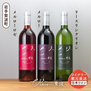 自園自醸ワイン紫波 辛口ワイン3本セット