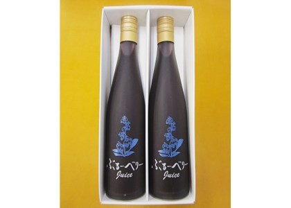 ʋl u[x[W[X_EhN  ʏ` _y1156309z