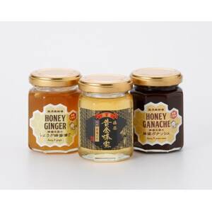 藤原黄金蜂蜜「栃」・ハニージンジャー・蜂蜜ガナッシュ 160g×3本セット_調味料 はちみつ ハチミツ 蜂蜜_