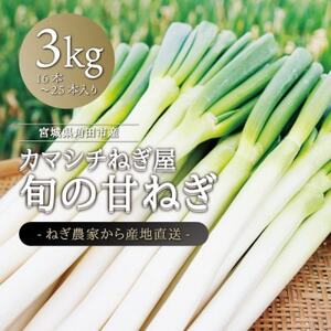 J}V`˂ {̊Â˂ 3kg_ ˂  lM K_y1381451z