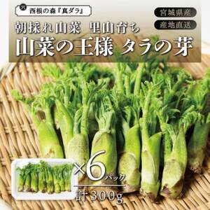 朝採れ山菜 タラの芽 300g[配送不可地域:離島・北海道・沖縄県・信越、北陸・東海・近畿・中国・四国・九州]