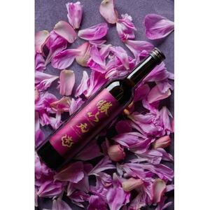 勝山 純米大吟醸 濃蜜薫酒 元 500ml_酒・アルコール 純米大吟醸 日本酒 sake サケ_