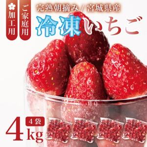 宮城県産 完熟冷凍いちご 4kg(1kg×4袋)【加工用・ご家庭用】ヘタ無しで便利♪通年出荷_果物・フルーツ いちご  イチゴ 苺_【配送不可地域：離島】【1497571】