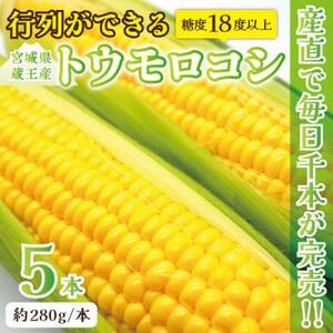 【蔵王の産直で毎日1000本完売】生でも甘い♪行列ができるトウモロコシ『夢みらい』5本 数量限定_野菜 とうもろこし  トウモロコシ_【配送不可地域：離島】【1500613】