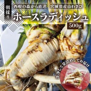 y̐X璼zz[XfBbV(500g) {錧Y ̂_ƒ̎R킳_   _y1557230z