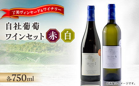 自社葡萄を使用したワイン2本セット ピノノワール・ソーヴィニヨンブラン 750ml×各1本