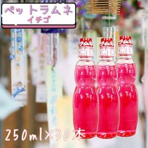ペットラムネ イチゴ(250ml×30本)