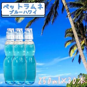 yȂzybgl@u[nC(250ml×30{)y1598131z