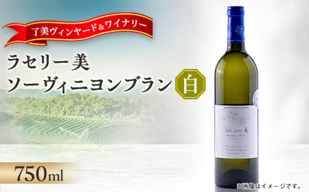 ラセリー美 ソーヴィニヨンブラン 750ml×1本
