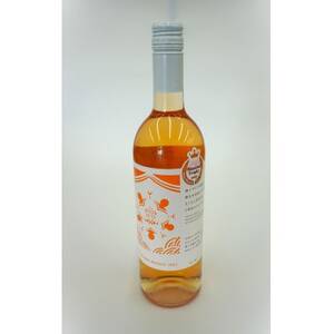 [南三陸ワイナリー]デラウェア・オレンジ (辛口) 750ml×1本