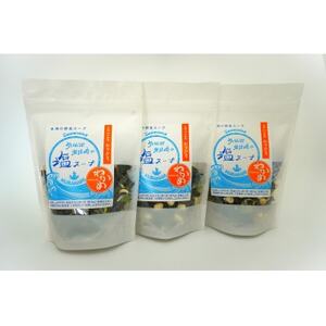 気仙沼 岩井崎の塩スープ 40g×3袋