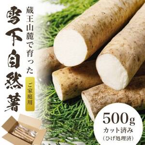 蔵王の雪下自然薯 約500g[カット・切り芋]ご自宅ご家庭用・とろろもオススメ・処理済み