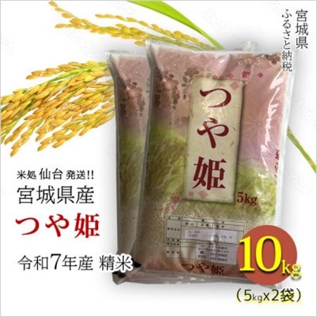 【つや姫】宮城県産 令和7年産 精米 10kg(5kg×2袋)【1700764】