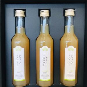 シャインマスカットジュース300ml×3本詰_飲料・ドリンク  果汁飲料 _【1266928】
