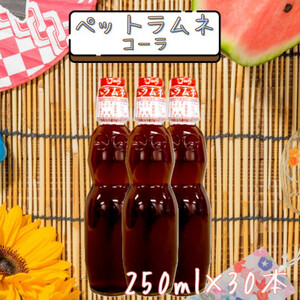 ybgl@R[(250ml×30{)_EhN Y_ W[X _y1394699z