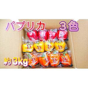 [宮城県産]パプリカ(赤・黄・橙)12玉 約3kg_野菜 _[配送不可地域:離島]