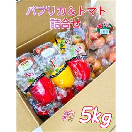 [宮城県産]パプリカ・トマト詰合わせセット_野菜 ミニトマト トマト 野菜 トマト 野菜 _[配送不可地域:離島]