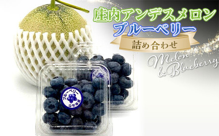 [令和7年発送]期間限定 庄内アンデスメロンとブルーベリー詰め合わせ