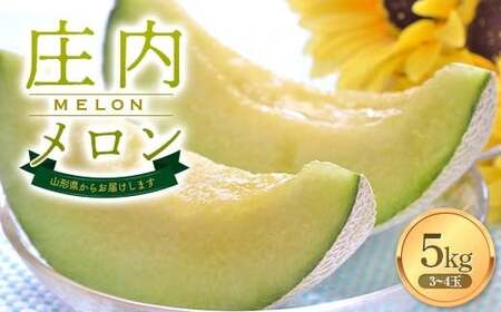 [2026年発送 先行予約]庄内メロン3〜4玉 5kg