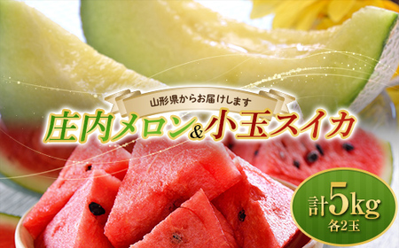 [2026年発送 先行予約]庄内メロン2玉と小玉スイカ2玉の食べ比べ 計4玉 5kg