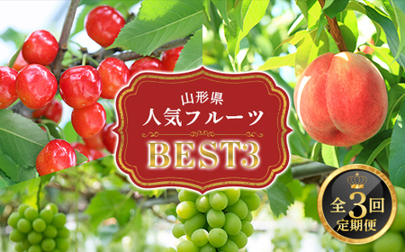 y2026Ns\zR`lCt[cxXg3 S3 FSY-2341