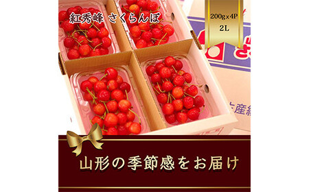 ふるさと納税「さくらんぼ紅秀峰」の人気返礼品・お礼品比較 - 価格.com