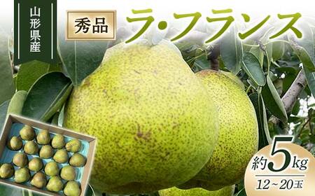 【2025年度先行予約】山形県産ラ・フランス 5kg 12 玉～20 玉  なし ナシ 梨 デザート フルーツ 果物 くだもの 果実 食品 山形県 FSY-1891