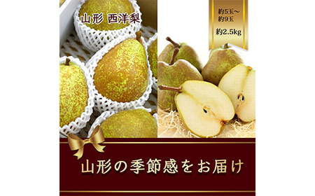 【2025年発送先行予約】西洋梨 約5玉～約9玉 約2.5kg《品種指定はできません》 なし ナシ 梨 デザート フルーツ 果物 くだもの 果実 食品 山形県 FSY-1081