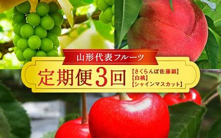 ≪数量限定 期間限定≫2024年先行予約【山形代表フルーツ定期便】 3回定期便 FSY-1199