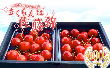 【2026年先行予約】さくらんぼ「佐藤錦」600g 秀品 Lサイズ以上 山形県産 FSY-1202