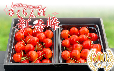 【2026年先行予約】さくらんぼ「紅秀峰」600g 秀品 2Lサイズ以上 山形県産 FSY-1203
