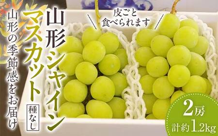 山形シャインマスカット ぶどう 2房 《種なし皮ごと食べられます》【2025年9月から発送】 マスカット ブドウ 葡萄 デザート フルーツ 果物 くだもの 果実 食品 山形県 FSY-1052