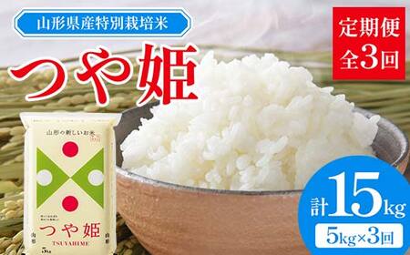 �y�ߘa7�N�x�Y�z�R�`���Y ���ʍ͔|�� ��P 5kg �S3������ ��2025�N10����菇�������� F2Y-3914