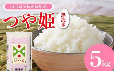 [令和7年度産]山形県産 特別栽培米 無洗米 つや姫 5kg(BG無洗米) ≪2025年10月より順次発送≫