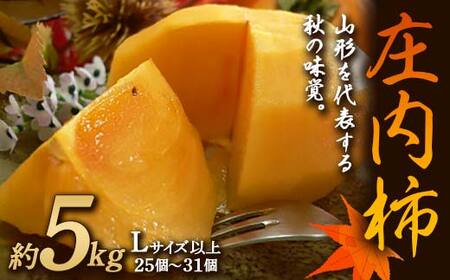 ss\ ߘa7NxYt` 5kg LTCYȏ  `  fU[g t[c ʕ  ʎ Hi R` FSY-1885
