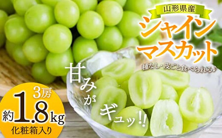 [先行予約 令和7年度産]とっても人気の『シャインマスカット』3房 化粧箱入り マスカット ぶどう ブドウ 葡萄 デザート フルーツ 果物 くだもの 果実 食品 山形県