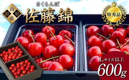 【2026年先行予約】さくらんぼ「佐藤錦」600g 特秀品 Lサイズ以上 山形県産 FSY-1206