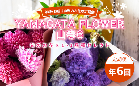 年6回お届け山形のお花の定期便 YAMAGATA FLOWER 山寺6